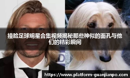 撞脸足球明星合集视频揭秘那些神似的面孔与他们的精彩瞬间