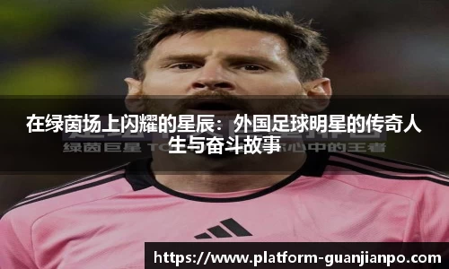 在绿茵场上闪耀的星辰：外国足球明星的传奇人生与奋斗故事